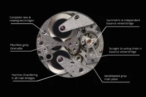 MHVJ x Ophion Movement - Courtesy of Ophion
